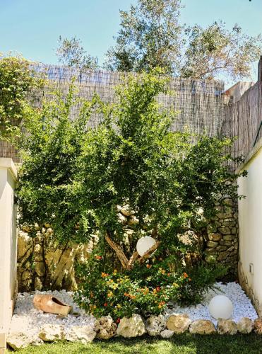 a tree in a yard next to a fence at B&B SANGIORGIO Green living in Melpignano