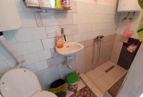 a small bathroom with a toilet and a sink at Family house in Visoko