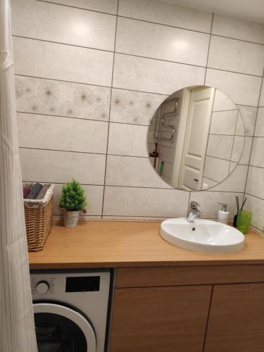 ein Badezimmer mit einer Waschmaschine und einem Waschbecken in der Unterkunft Jakobi Guest Apartment in Tallinn