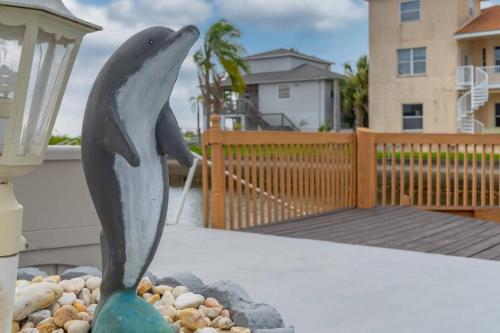 Dolphins' Play – Photos 3