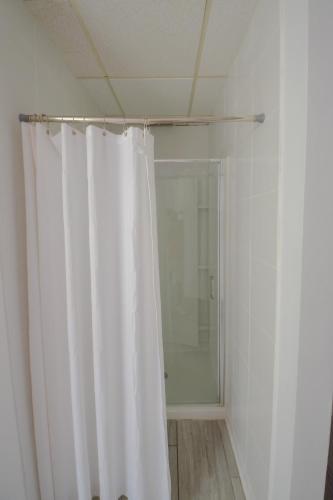 a white shower curtain in a bathroom with a mirror at Michie House in College Hill in Providence