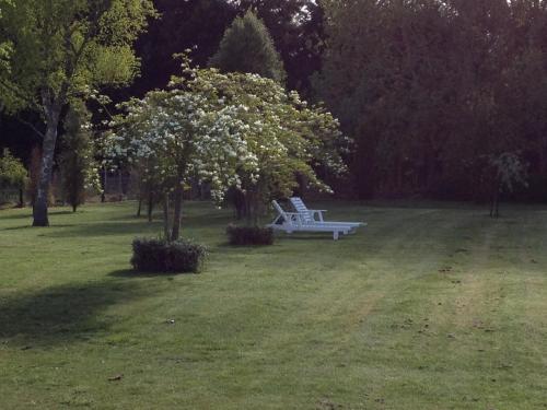 a white bench in a field with a tree at Ruapehu Country Lodge in Ohakune
