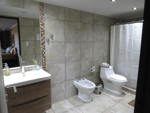 een badkamer met een wastafel, een toilet en een douche bij Molar-Hue in Villa Pehuenia