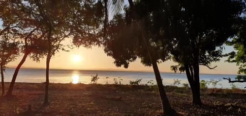 a sunset over the ocean with trees in the foreground at Rancho Tranquillo in Moyogalpa