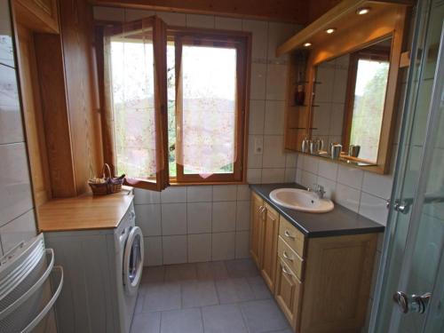 a bathroom with a sink and a washing machine at Gîte Saulxures-sur-Moselotte, 3 pièces, 4 personnes - FR-1-589-281 in Saulxures-sur-Moselotte