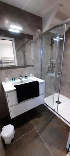 łazienka z umywalką, prysznicem i toaletą w obiekcie LES APPARTEMENTS DE LA B w mieście Saint-Benoît-des-Ondes