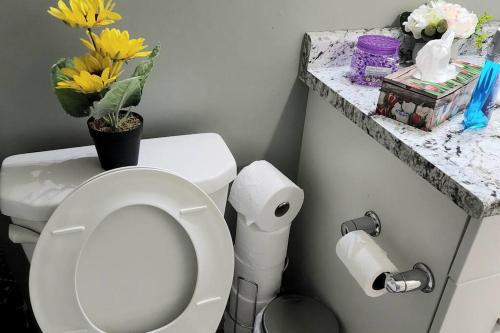 a bathroom with a toilet and flowers on a counter at QUIET & COZY MODERN SUITE CLOSE TO RCMP in Regina