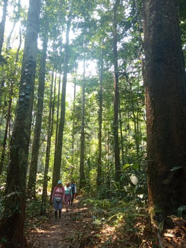 Imagen de la galería de Casa Azul Reserva Amazonica, en Leticia