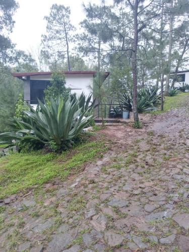 a dirt road in front of a house at Mazamitla Pinos del Rio in Mazamitla