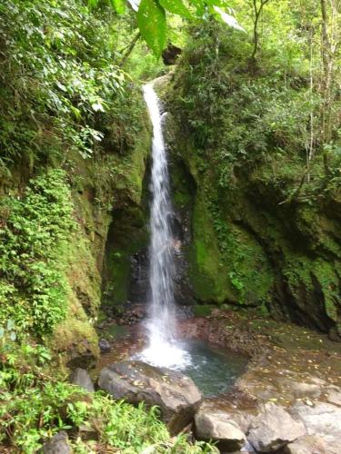 OYOecocheap LODGE is close& FLORES TOUR AGENCY