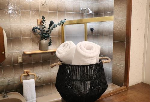Baño con toallas en una cesta en el lavabo en CASA MADERA, en Lagos de Moreno