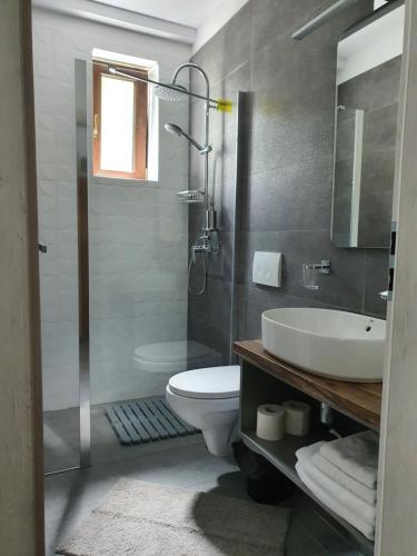 ein Bad mit einem WC, einem Waschbecken und einer Dusche in der Unterkunft AOSTA VALLEY SINAIA in Sinaia