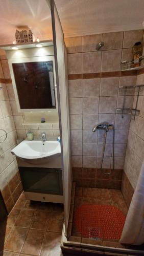 een badkamer met een douche, een wastafel en een douche bij Halkidiki Family House in Kalivia Poligirou