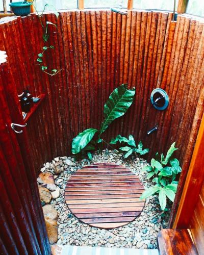 a wooden toilet seat with a plant on it at Alma Del Rio Eco-Comfort on the water in San Ignacio