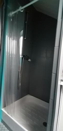 eine Dusche mit Glastür und Dusche in der Unterkunft chambre à 800 mètres du mythique virage de Mulsanne in Mulsanne