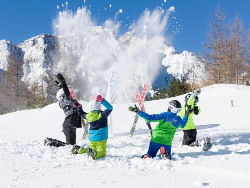 a group of people playing in the snow at Chalet in Feistritz near Petzen Ski Area in Unterlibitsch