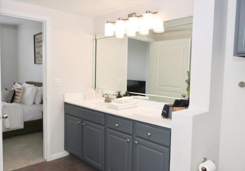 ein Bad mit einem Waschbecken und einem Spiegel in der Unterkunft Lovely Texas Medical Center 1 Bedroom Luxury Suite in Houston