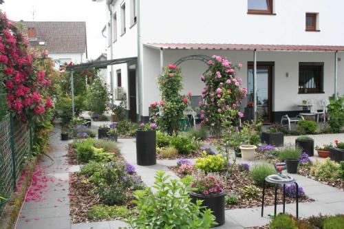 Zahrada ubytování Villa Peony