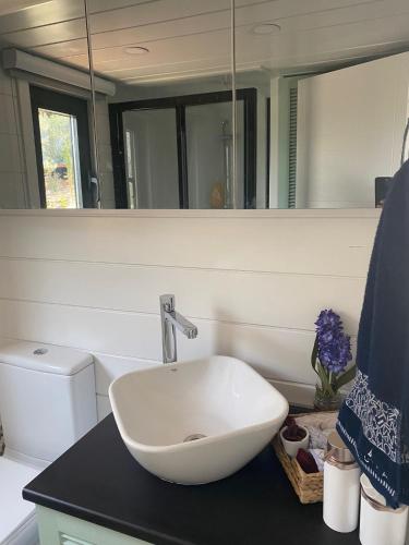 La salle de bains est pourvue d'un lavabo blanc et d'un miroir. dans l'établissement Lovin Gocek & Tiny house Mermaid, à Fethiye