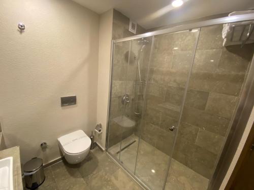 bagno con doccia e servizi igienici. di Pinhan Otel Kazdağıları a Ayvacık