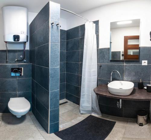 uma casa de banho com um lavatório, um WC e um chuveiro em Penzion Rechle em Cesky Krumlov