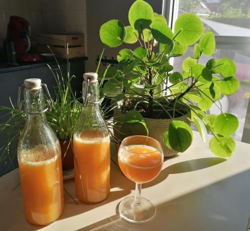 two bottles of orange juice and a glass at Sea-Me Ostend in Ostend