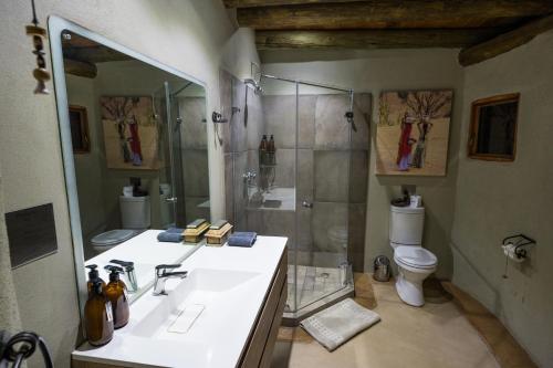 a bathroom with a shower and a sink and a toilet at Mowani Mountain Camp in Khorixas