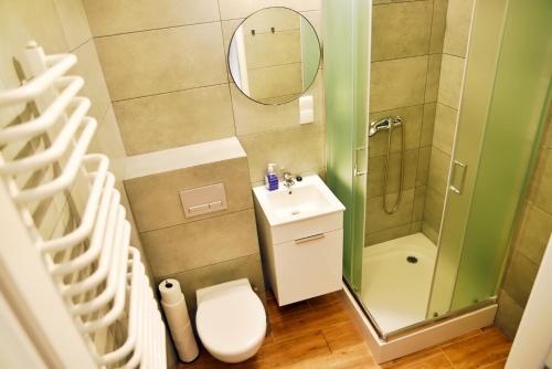 een badkamer met een douche, een toilet en een wastafel bij Apartamenty Lotnisko Leszno in Leszno