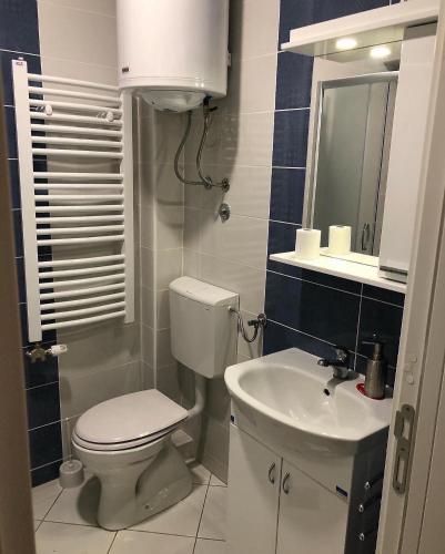 un piccolo bagno con un water e un lavandino di Studio “Masha” a Apatin