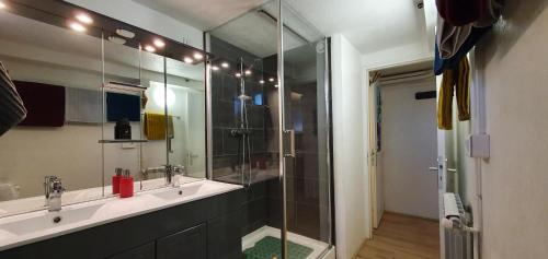 bagno con doccia in vetro e lavandino di Superbe T2 avec jardin, piscine-enfant et parking a Arles
