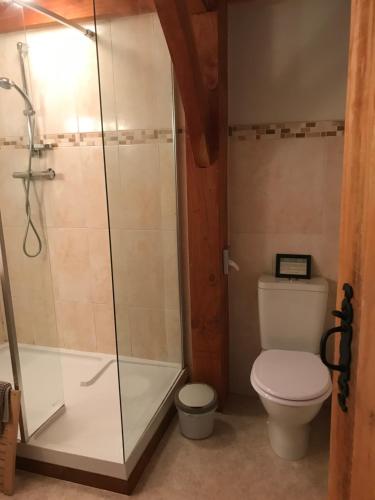 a bathroom with a shower and a toilet at Chez Jallot - Upper Gite in Vidaillat