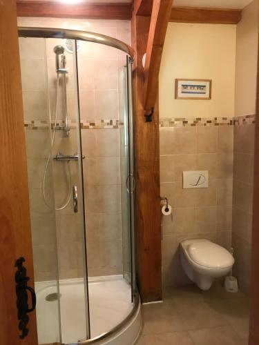 ein Bad mit einer Dusche und einem WC in der Unterkunft Chez Jallot - Lower Gite in Vidaillat