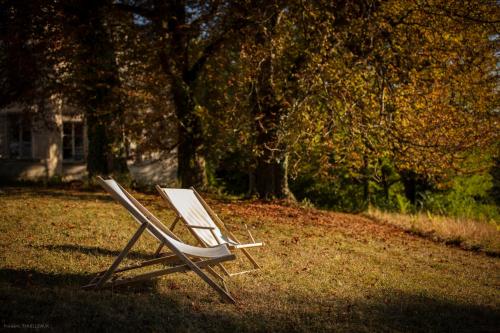 a chair sitting on the grass in a yard at Château de Charnizay in Charnizay