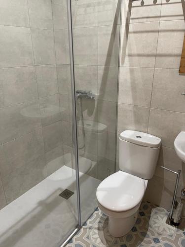 La salle de bains est pourvue de toilettes et d'une douche en verre. dans l'établissement Casa Gala, à Santa María del Páramo