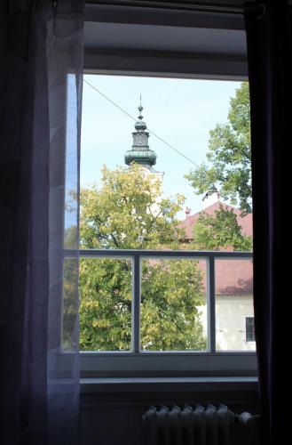 a window with a view of a tree at Hotel Ďumbier in Brezno