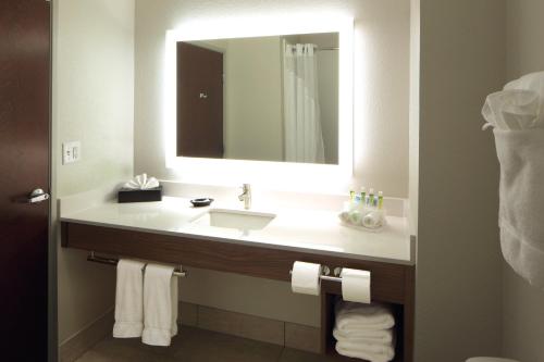 Ванная комната в Holiday Inn Express Hotel & Suites Atlanta Airport West - Camp Creek by IHG