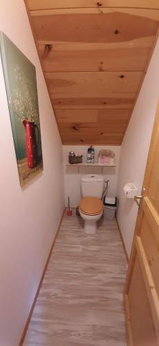 La salle de bains est pourvue de toilettes et d'un plafond en bois. dans l'établissement Maison familiale 8 personnes au coeur de Loudenvielle, à Loudenvielle