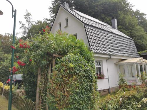 Zahrada ubytování Rügen Fewo 91 Buchenwinkel