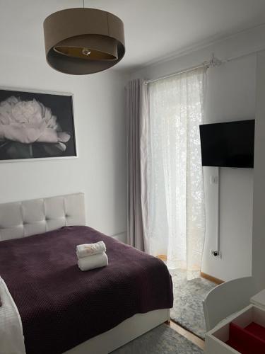 1 dormitorio con cama y ventana grande en Alma apartments en Suceava