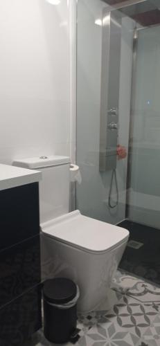 a white toilet in a bathroom with a shower at Acogedora cabaña con piscina in Pontevedra
