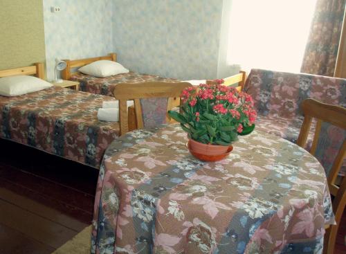 Una cama o camas en una habitación de Meteorits