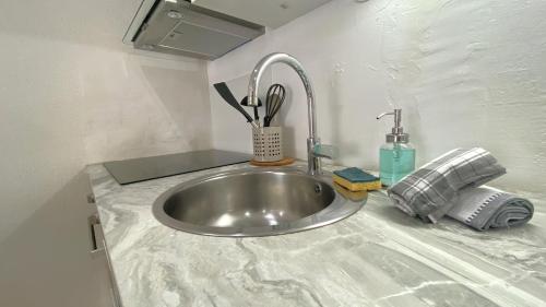 a kitchen counter with a sink in a kitchen at Studio Bricka - 200m to the beach, parking, clim, terrace in Antibes