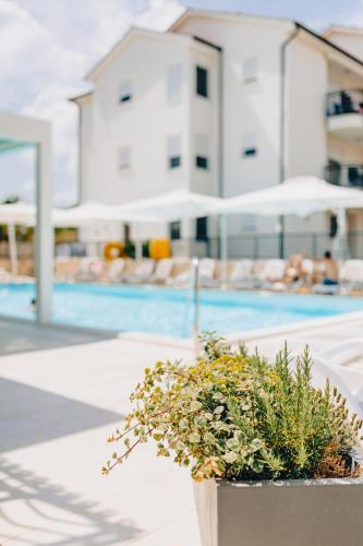a potted plant in front of a swimming pool at Cool Šilo Appartement Resort in Šilo