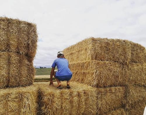 Επισκέπτες που μένουν στο Blou Porselein Guestfarm