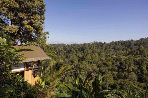 Un paisaje natural cerca del tented camp