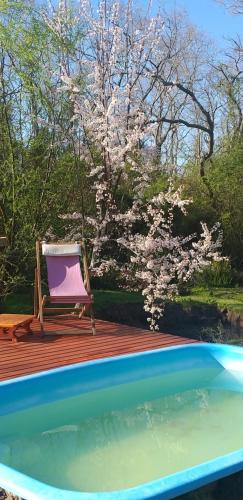Πισίνα στο ή κοντά στο Armonía y Naturaleza B&B Hostería Exclusiva