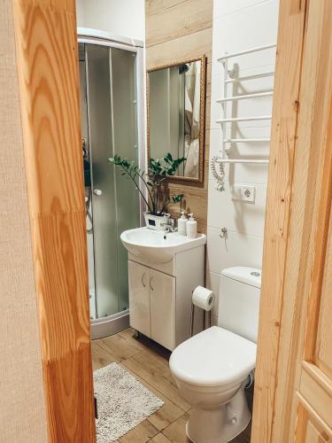 een badkamer met een toilet en een wastafel bij Ptcholkin's apartments in Lviv