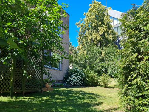 a garden in front of a building with trees at Nida Amber in Nida