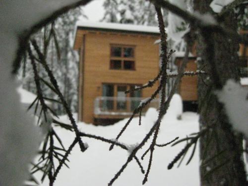 Forest Chalet Resort FELIZITAS v zimě