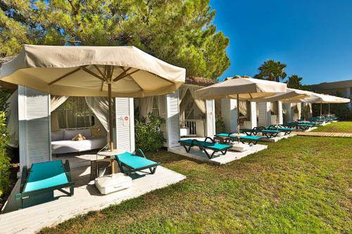 a row of chairs and umbrellas on a lawn at Crystal Prestige Elite in Kemer